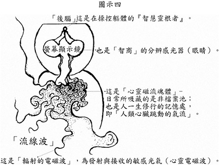 整個人體的構造