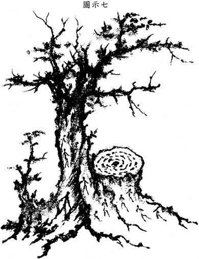 爲愛情自殺遭受靈界處分關在樹木裡執行工作