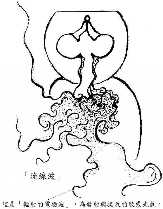 整个人体的构造