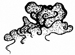 心臟跳動的氣流